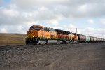 BNSF 3652